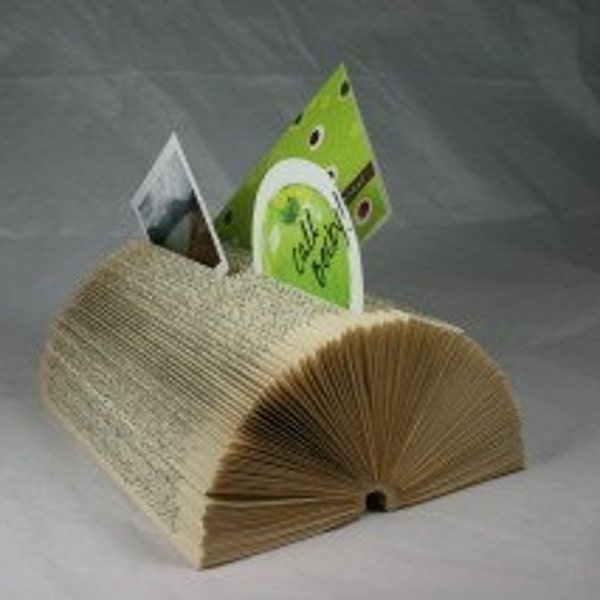 Recycled Book Organizer