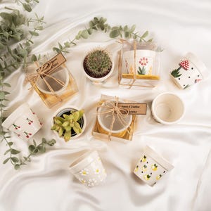 Bomboniere in mini vasetti di succulente, bomboniere rustiche in mini succulente, regali ecologici per gli ospiti, bomboniere utili per matrimoni