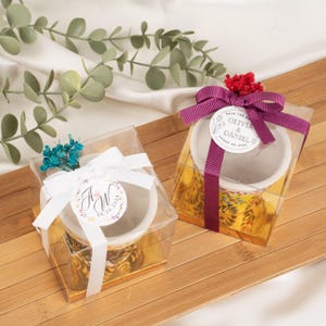Handbemalte Sukkulenten Pflanzgefäße - Geschenkidee für Pflanzenliebhaber - Geschenk für Pflanzenliebhaber - Babyparty Gastgeschenke in loser Schüttung