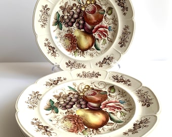 Vintage Windsor Fruit Dinner Plates – Johnson Bros England, 10" Ceramic Set (5)