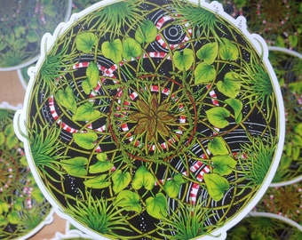 6"x6" Freshwater sticker