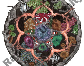 Primum mandala print "Saltwater"