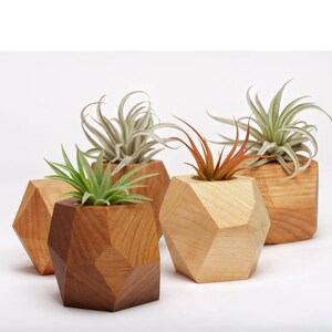 Set von 6 Holz Geometrische Luft Pflanzenhalter, 6 verschiedene Formen & Holz, Indoor Wand Pflanzer SetHängende Pflanzer im Freien, Wand-montierter Pflanzer,