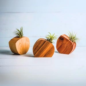 Hölzerne geometrische Luftpflanzenhalter, kleine Innenpflanzer, geometrischer Pflanzer, handgemachter Blumentopf, Luftpflanzenhalter, Geschenk für Pflanzenliebhaber