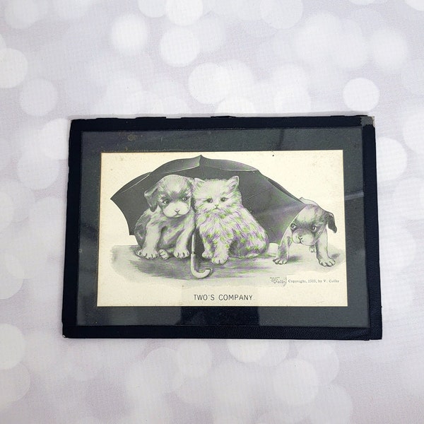 Puppies & Kitten 1909 Antique Framed Picture