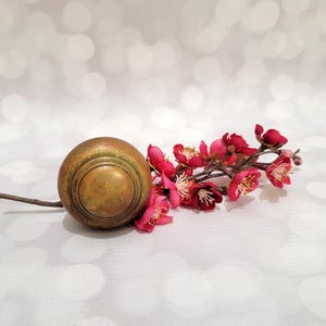 May include: A round, weathered brass door knob with a central circular indentation, positioned next to a slender brown branch adorned with several small, vibrant pink blossoms featuring white centers and delicate yellow stamens.