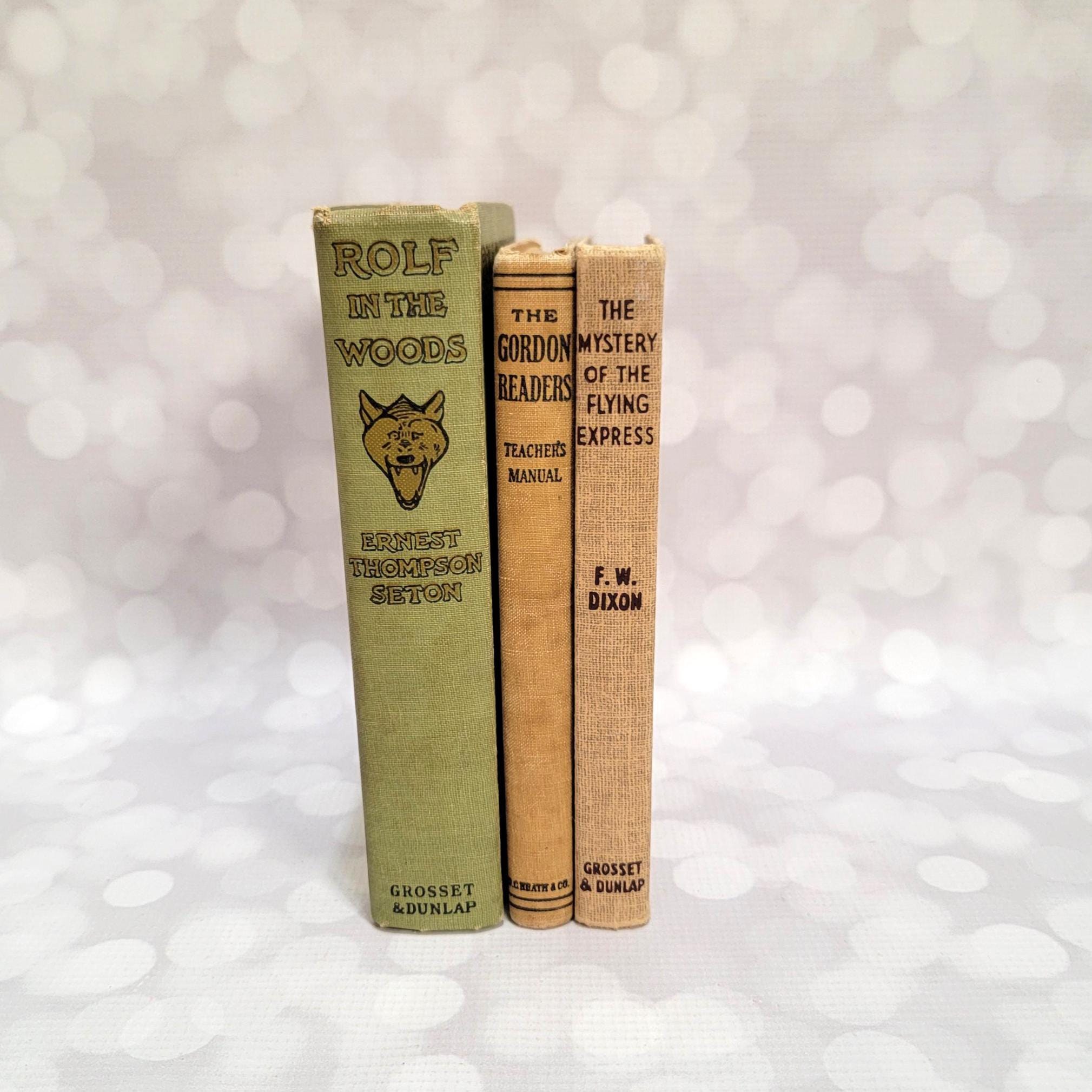 1911, 1918, & 1941 Antique Children's Books Rolf In The Woods Boy Scouts Of America, Gordon Readers, The Mystery Of The Flying Express
