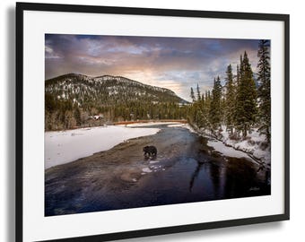 Spirit of the Rockies, Banff National Park Wildlife Photography, Canadian Mountain Fine Art Print