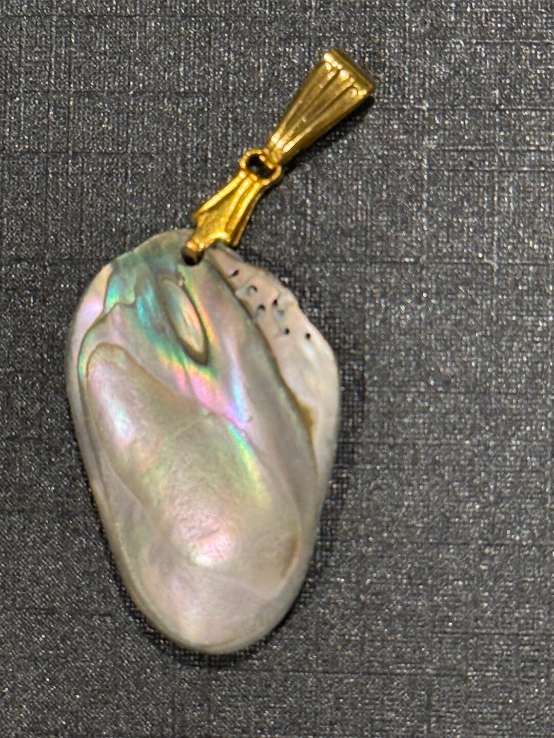 Ashlyn Chain Gold Necklace in Abalone Shell main image 0
