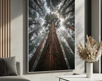 Tall Redwood Forest | Towering Nature Landscape Canvas Wall Art | Tranquil Woodland Decor for Living Room | Ready to Hang