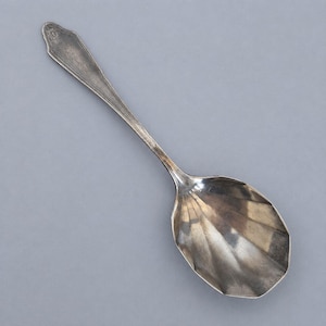 Può includere: Un cucchiaio in metallo color argento con una coppa a forma di conchiglia caratterizzata da scanalature marcate. Il manico è sottile e si assottiglia verso un'estremità decorativa a punta con un piccolo dettaglio circolare in rilievo.
