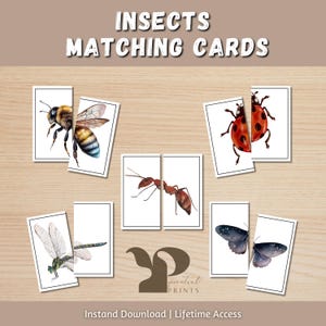 May include: Insect matching cards featuring watercolor illustrations of a bee, ladybug, ant, dragonfly, and butterfly. The cards are split in half, designed for matching. The text "INSECTS MATCHING CARDS" is at the top.