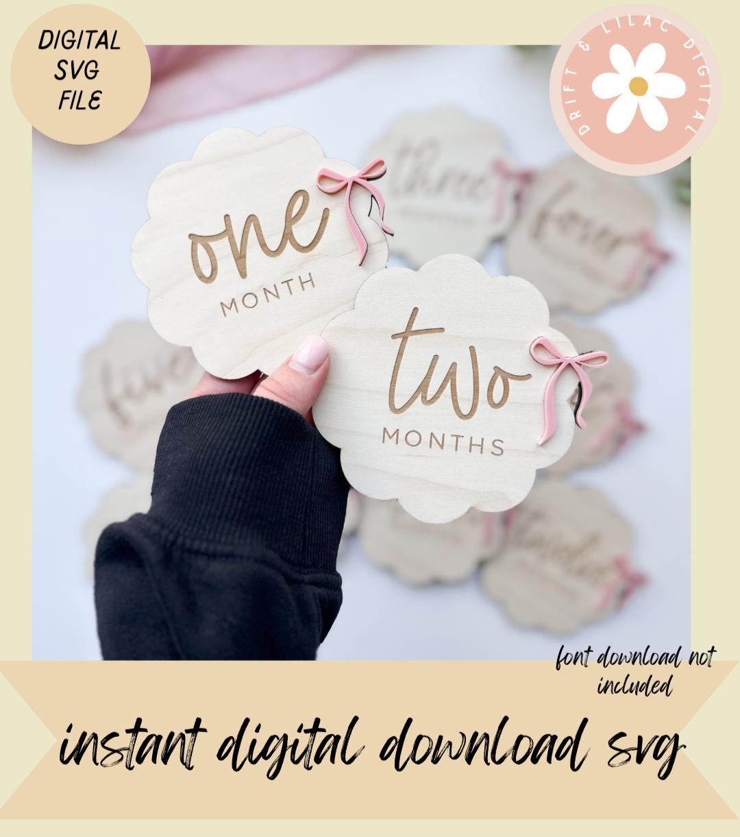 SVG Baby Milestone Disc Bow File, Baby Milestone Rounds Svg, SVG File ...
