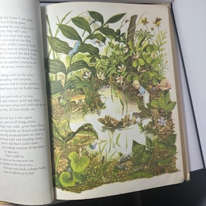 May include: An open book with a colorful illustration of a pond scene. The image features lush green plants, small white flowers, and a few small creatures. The text on the left page is a poem about nature.
