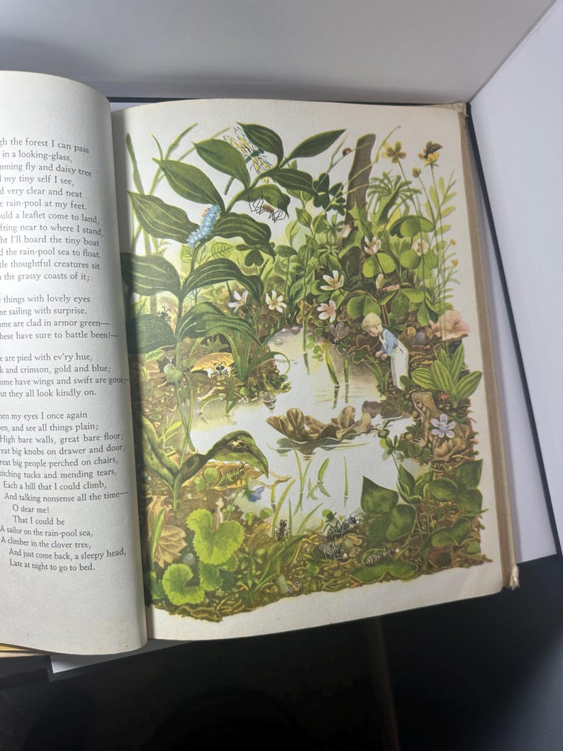 May include: An open book with a colorful illustration of a pond scene. The image features lush green plants, small white flowers, and a few small creatures. The text on the left page is a poem about nature.