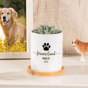 May include: A white cylindrical ceramic planter with a bamboo saucer containing a green succulent. The planter features a black paw print icon, the text "forever loved", the name "MAX", and the year "2026" printed in black on the front.