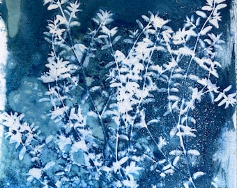 Wet Cyanotype Botanical Print: Wall Art Gift for Plant People