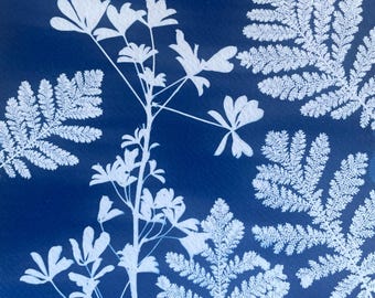 Lupine Cyanotype Print: Boho Floral Sunprint Art