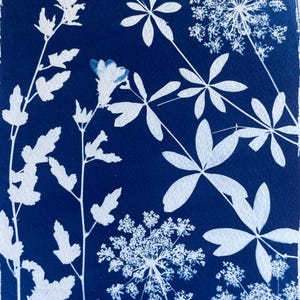 Floral Cyanotype Print: Botanical Sunprint, Alt Plant Photo for Nature Lovers