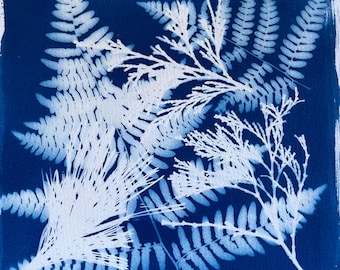 Fern and Fir Cyanotype Print: Botanical Wall Art Gift for Nature Lovers