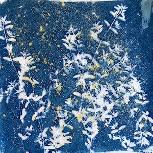 May include: A cyanotype print featuring white botanical elements against a deep blue background. The image showcases delicate plant structures with intricate details, accented by scattered yellow speckles, creating a textured, artistic composition.