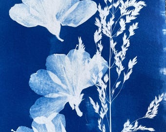 Azalea and Grass Cyanotype Print: Handmade Botanical Floral Artwork