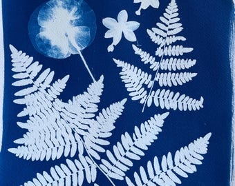 Fern and Flower Cyanotype Print: Handmade Botanical Floral Sunprint At