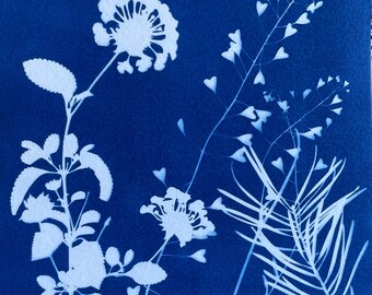 Lantana Cyanotype Print: Original Nature Botanical Art