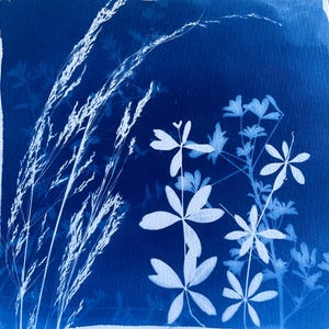 Double Exposure Cyanotype Print: Botanical Wall Art, Nature Art for Plant People