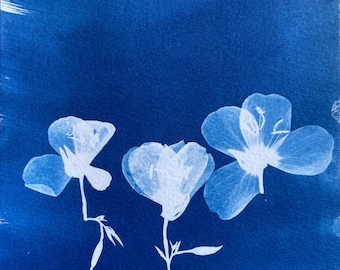 Primrose Cyanotype Print: Boho Floral Sunprint Wall Art