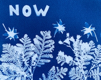 Mountain Misery Cyanotype Print: Boho Floral Art, Woodsy Forest Decor