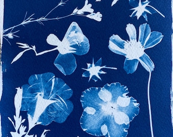 Flower Garden Cyanotype Print: Handmade Botanical Floral Wall Art