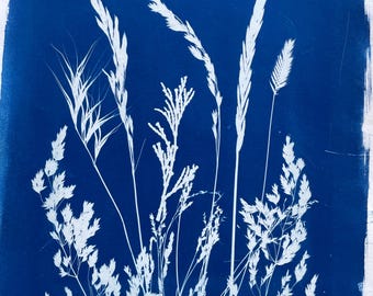 Wild Grasses Cyanotype Print: Nature Meadow Sun Art