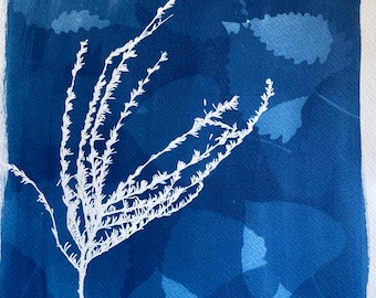 Cottonwood Leaf Cyanotype Print: Handmade Nature Art, Boho Wall Decor