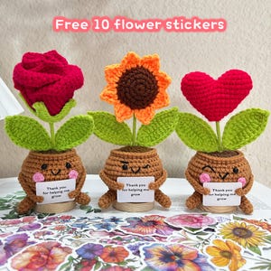 Crochet Sunflower/Rose/Heart Plants,Helping Me Grow,Emotional Support Plants,Thank You Gifts,Desk Decor,Unique Gift for Boss/Teacher/Mom/Her