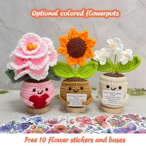 May include: Three handmade crochet flowerpots with smiling faces. One has a pink flower, one a sunflower, and one white flowers. Each pot has a small sign that reads "Emotional Support Plant". Includes flower stickers.