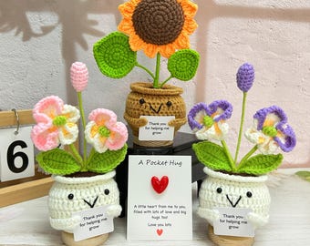 Girasole all'uncinetto fatto a mano, Orchidea falena, Fiore all'uncinetto, Grazie per avermi aiutato a crescere, Regalo di ringraziamento, Regalo per il ritorno a scuola, Decorazione floreale per la scrivania