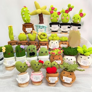 May include: A selection of crocheted cactus plants in different forms. Each plant is in a small pot and has a smiling face. Some have flowers or bows. Each pot has a small sign that says "Thank you for helping me grow."