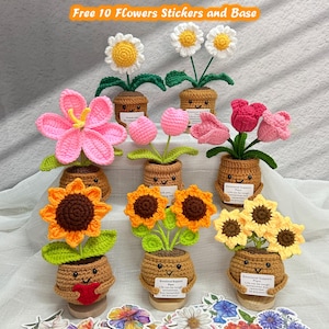 Emotionele steun Zonnebloem/madeliefje/tulpenplanten, bedankt dat je me helpt groeien, bureaudecor, terug naar school cadeau, leraar cadeau, baas dag cadeau