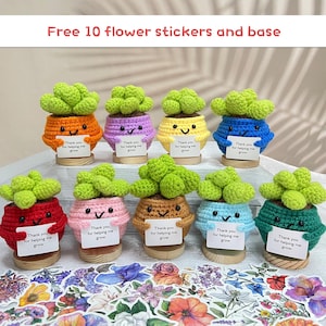 Handgefertigte häkeln Sukkulenten Pflanzen, bunte Topf Sukkulenten, helfen mir wachsen, Pflanzen zur emotionalen Unterstützung, Schreibtisch Dekor, Arbeitsteam Geschenke, Weihnachtsgeschenke