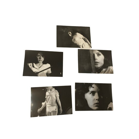 Vintage Lot of 5 Black White Photographs Etsy