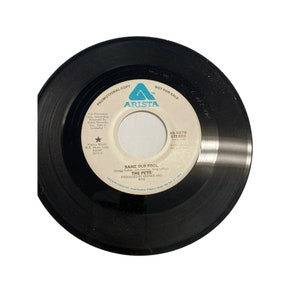Vintage 7” vinyl record 45 RPM the pets same old fool