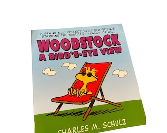Vintage Woodstock a bird's eye view paperback book
