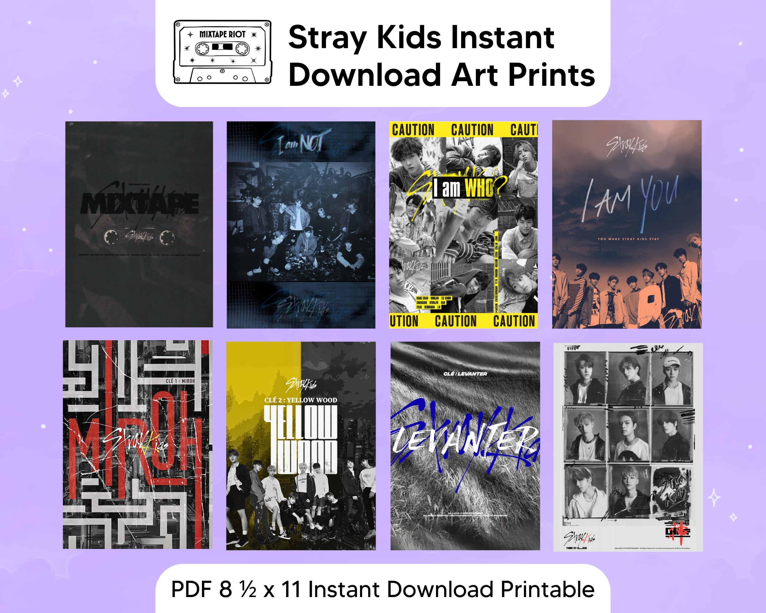 Stray Kids I Am You - Etsy