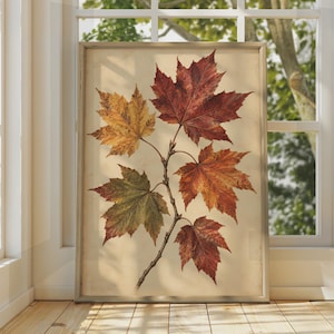 May include: A framed botanical print featuring a central branch with five maple leaves in varying stages of autumn coloration, ranging from deep crimson and burnt orange to muted yellow and green, set against a light cream-coloured background.