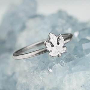 May include: A silver ring with a delicate maple leaf design. The ring is set against a background of light blue crystals.
