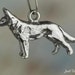 see more listings in the CHARM Animals section