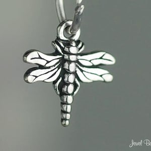 May include: Silver dragonfly charm with detailed wings and a delicate body. This charm is perfect for adding a touch of nature to jewelry.