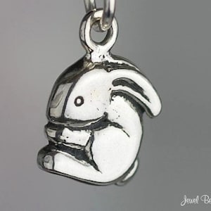 May include: A silver charm in the shape of a sitting rabbit. The charm has a simple design with a round eye and a small mouth.