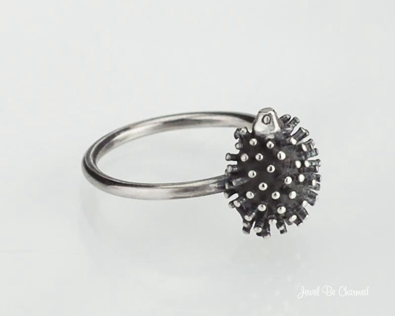 Orecchini A Bottone In Argento Sterling 925 Con Ricci - 1 Paio Di Borchie A Forma Di Riccio, Regalo Originale